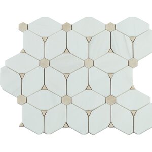 MSI Cecily Pattern Polished Marble Mosaic Tile & Reviews | Wayfair